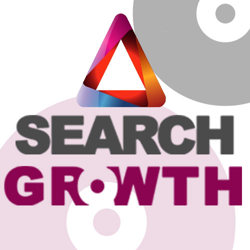 Search Growth SEO Company