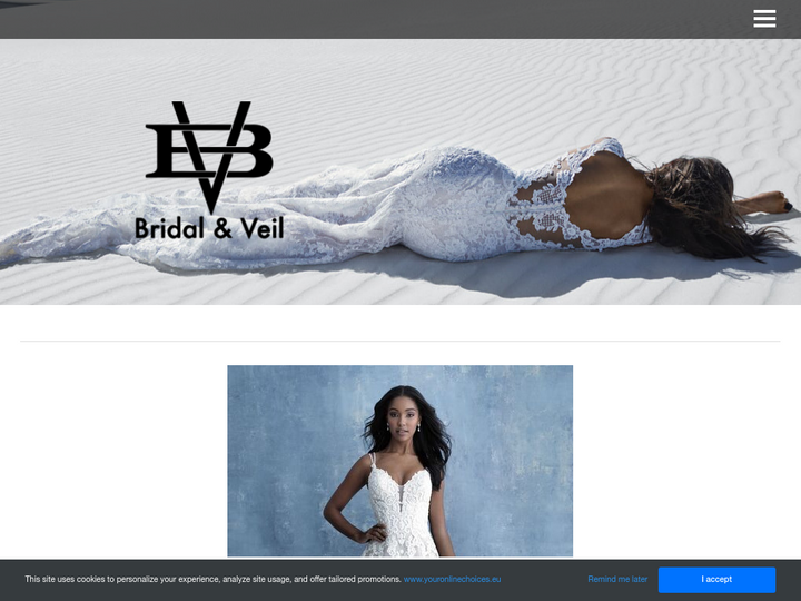 Bridal & Veil