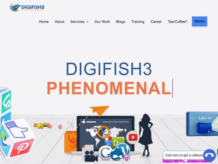 DigiFish3