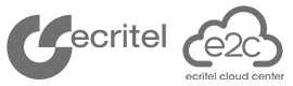 Ecritel Inc