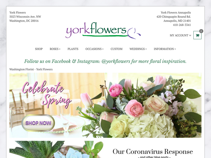 York Flowers