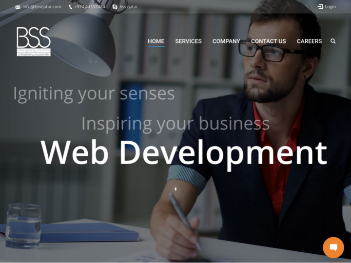 Blue Synergy Solutions