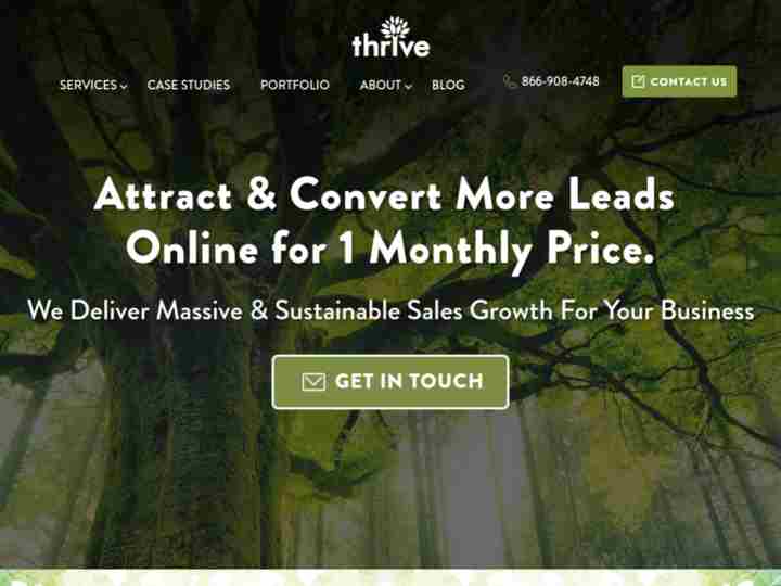 Thrive Internet Marketing