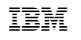 IBM SAN48B-5