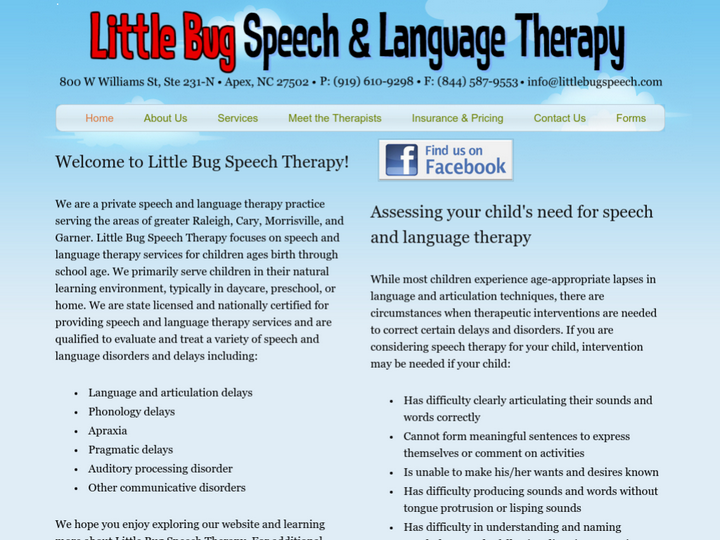 Little Bug Speech Therapy, PLLC