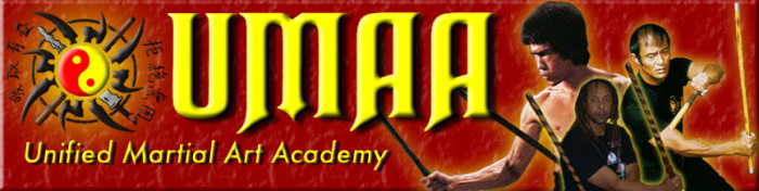 Unified Martial Art Academy