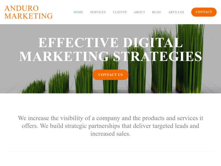 Anduro Marketing