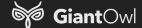 Giant Owl